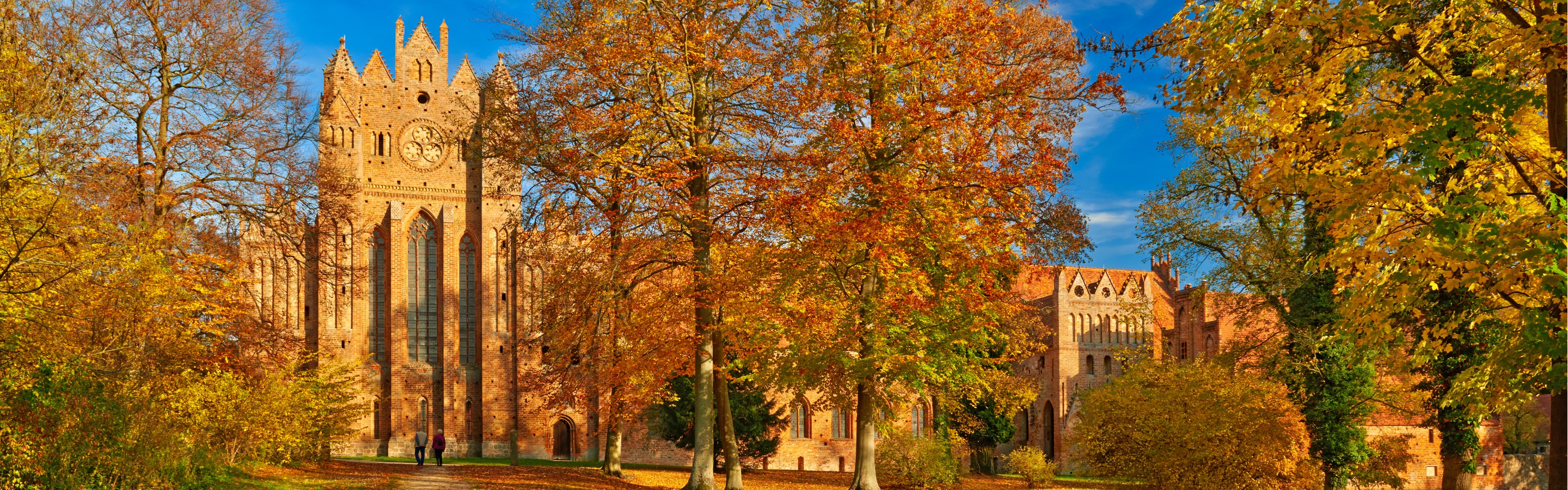 6 ziemlich gute Tipps für den Herbst in Brandenburg