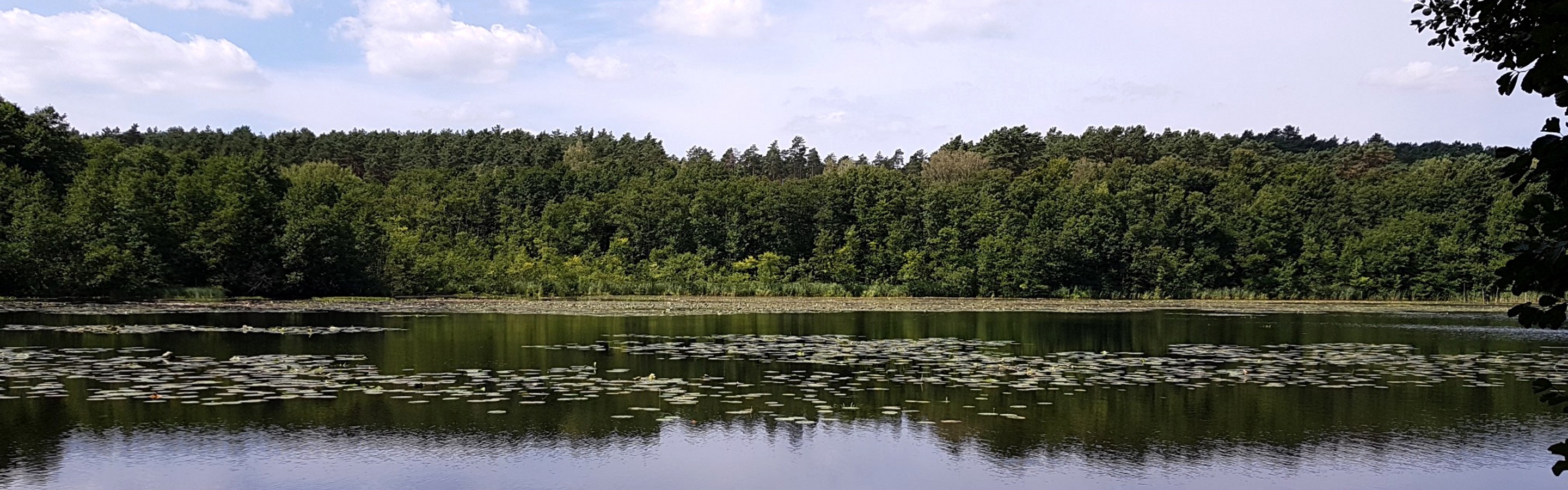 Sechs-Seen-Tour im Naturpark Barnim